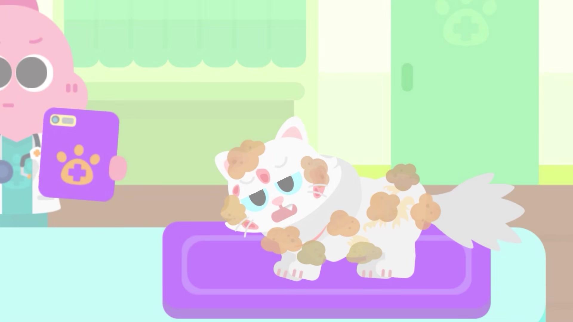 고양이 피부병 치료