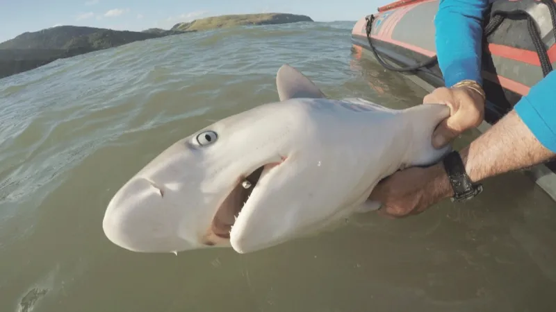 세계에서 가장 위험한 해변