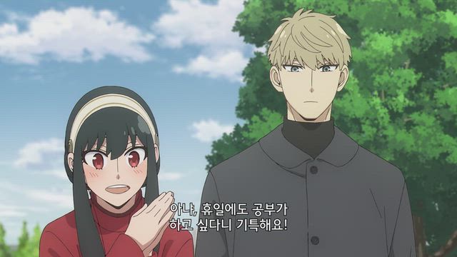 베를린트・패닉 / 정보상과 〈밤의 장막〉