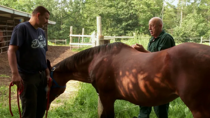 북극 같은 추위
