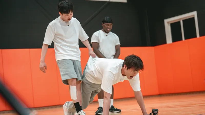 멸치들