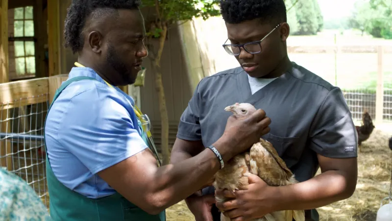 수의사 일일 체험