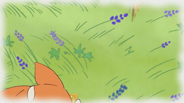 첫 코기 훈련생