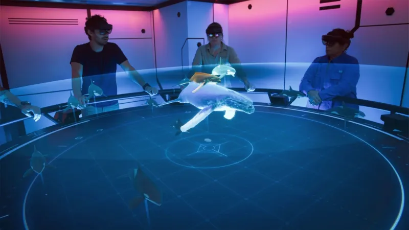 혹등고래의 왕국