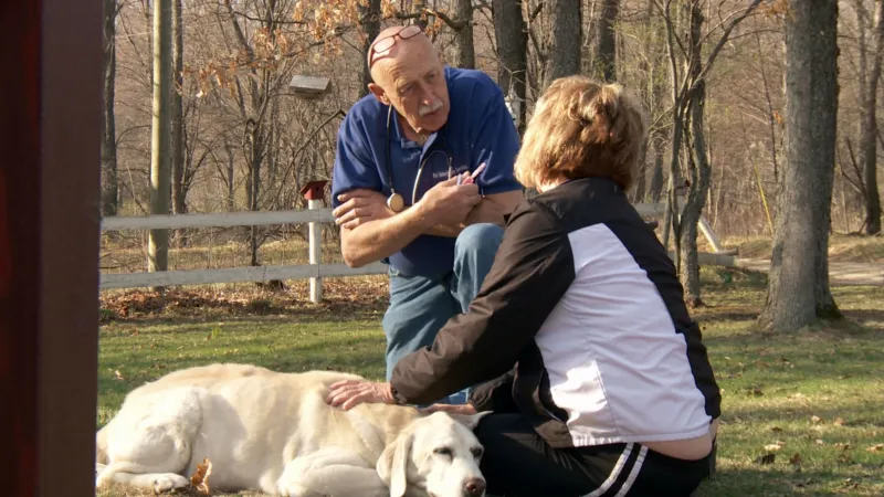 공작은 어떻게 울까?