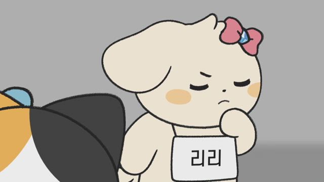 회차 정보