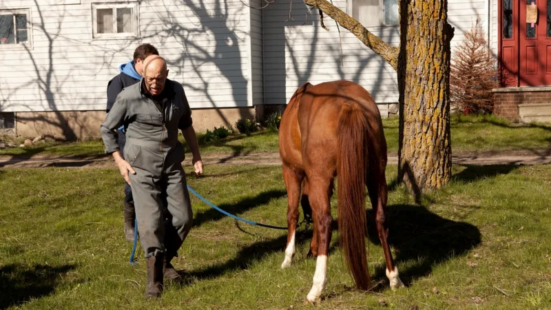 양이 왜 소처럼 울지?