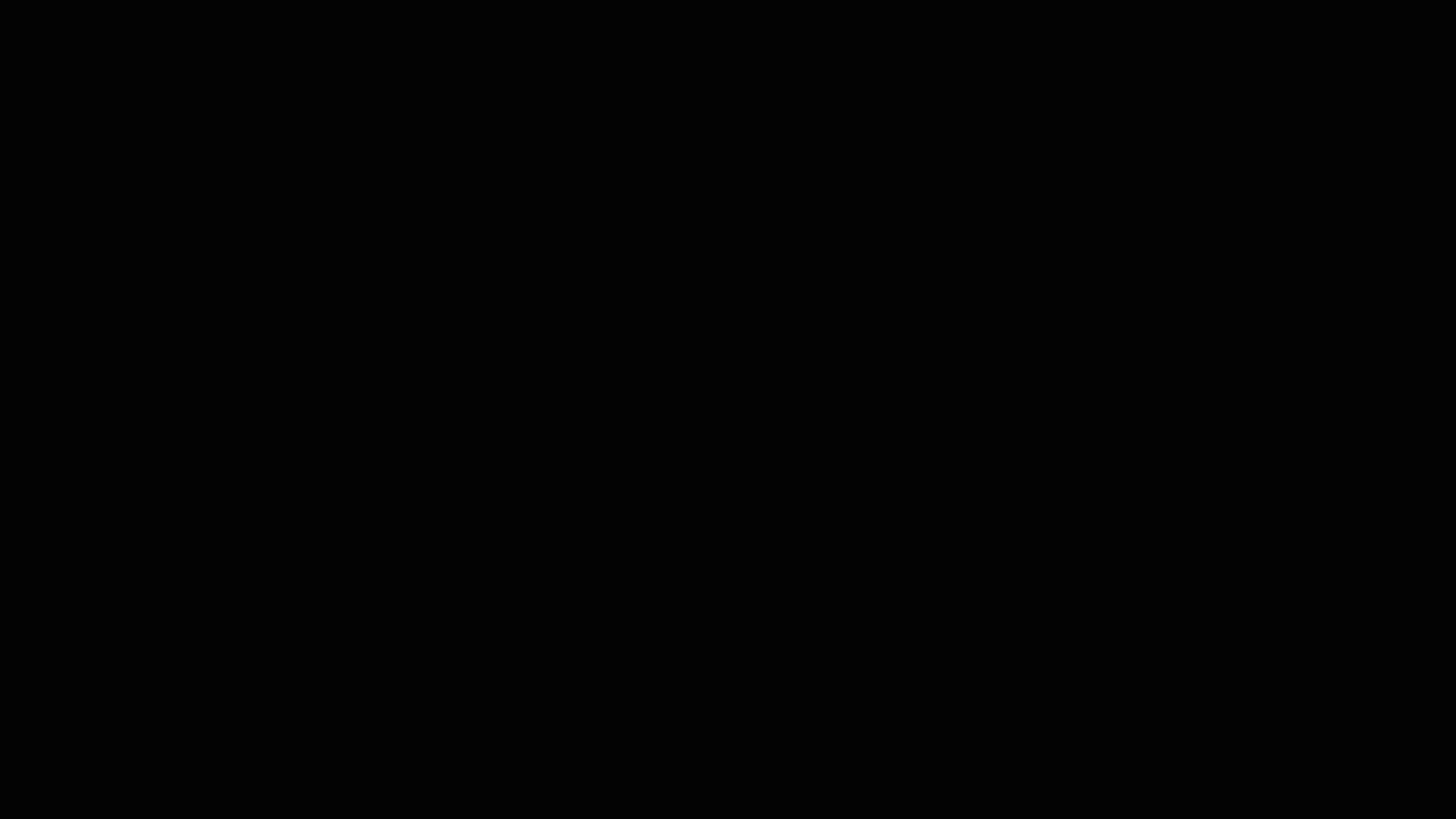 타이거즈: 언더독의 반란