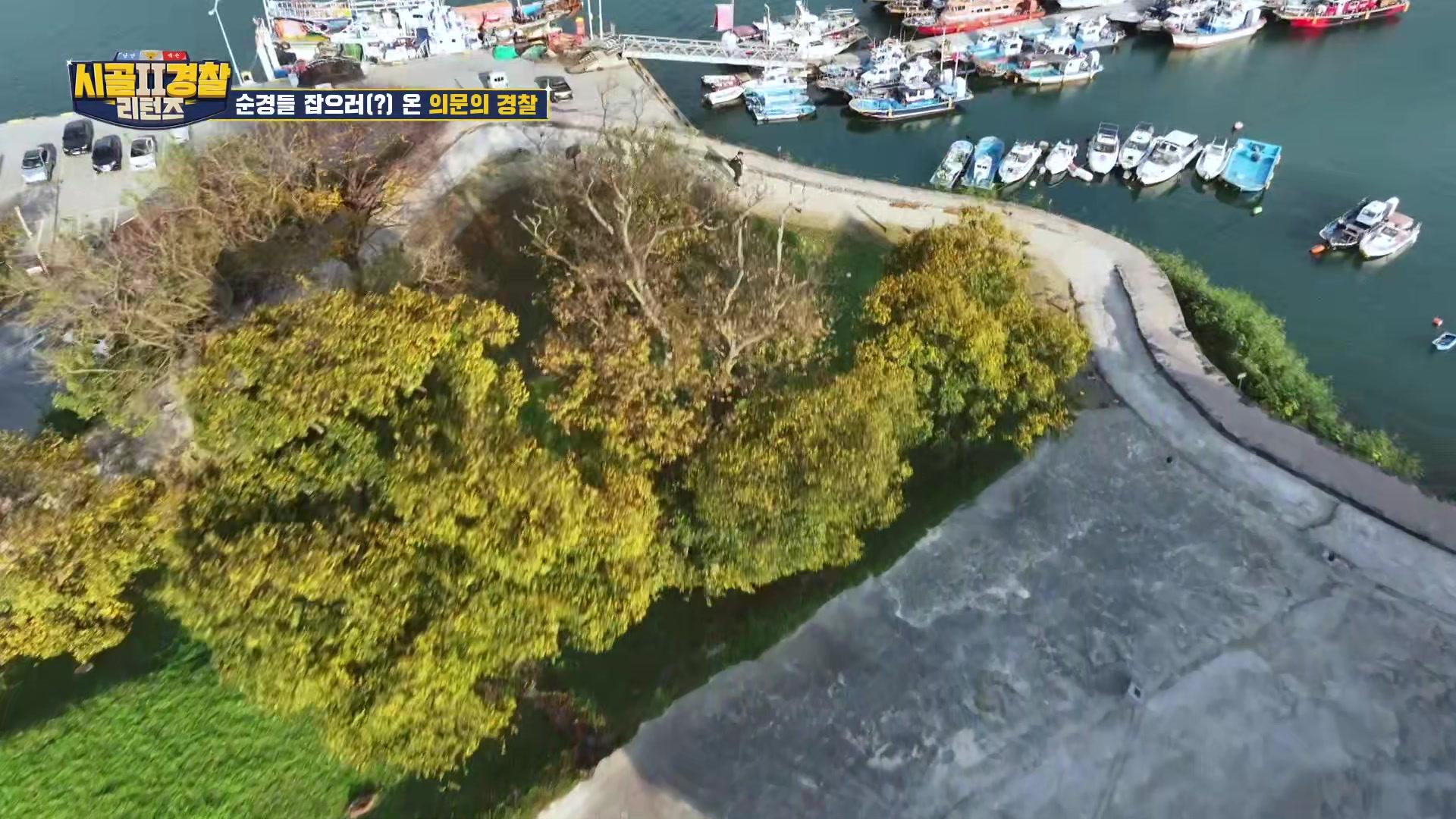 보령으로 명 받았어유