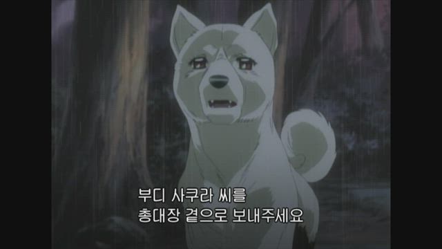 그 이름은 위드