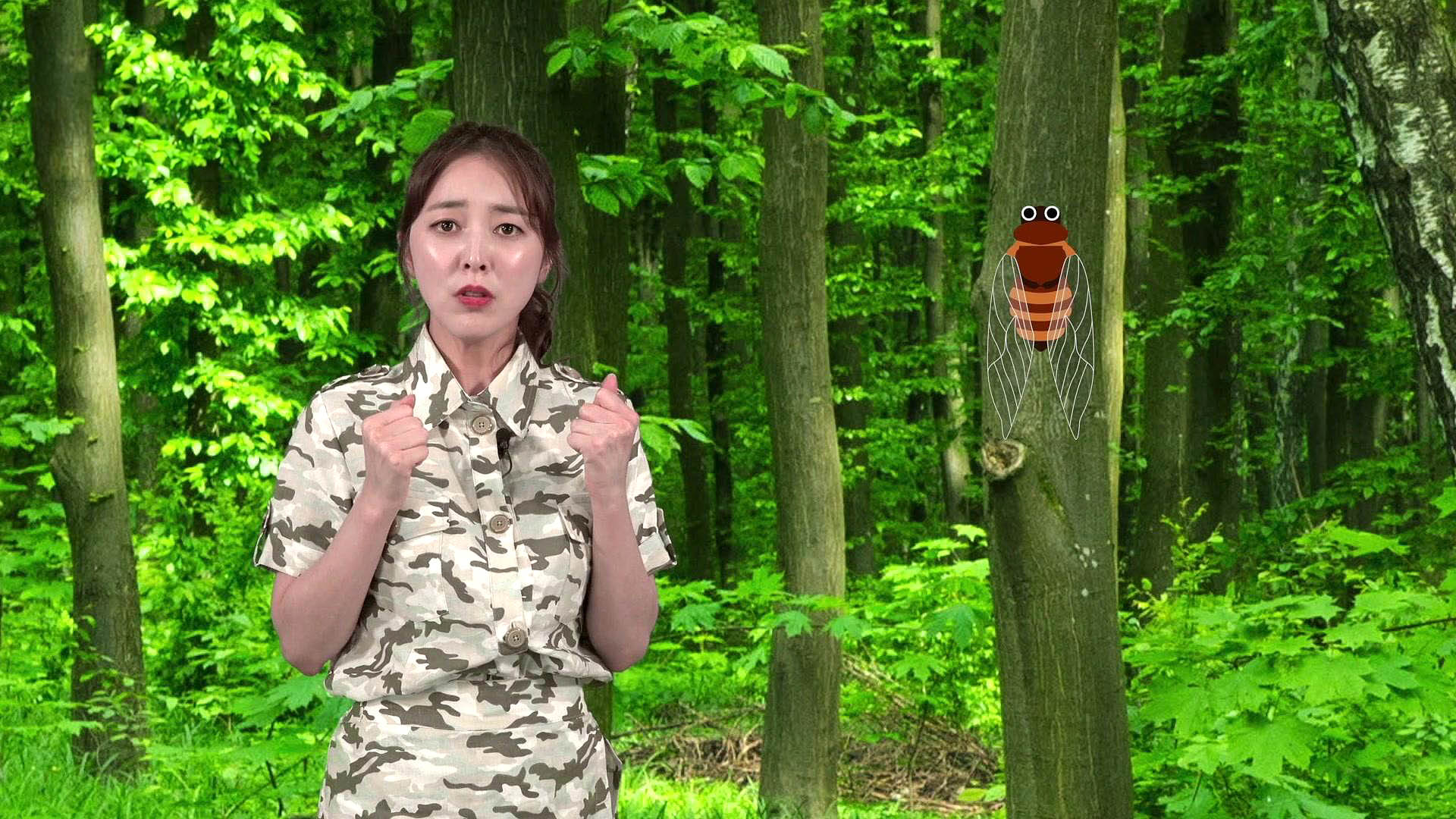 1. 매미가 우는 이유는?