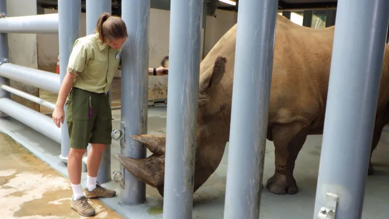 아기 고릴라 그레이스