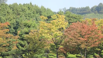 2023-11-01 제4회 챌린지리그 OPEN!