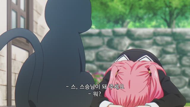 검은 고양이와 스피카