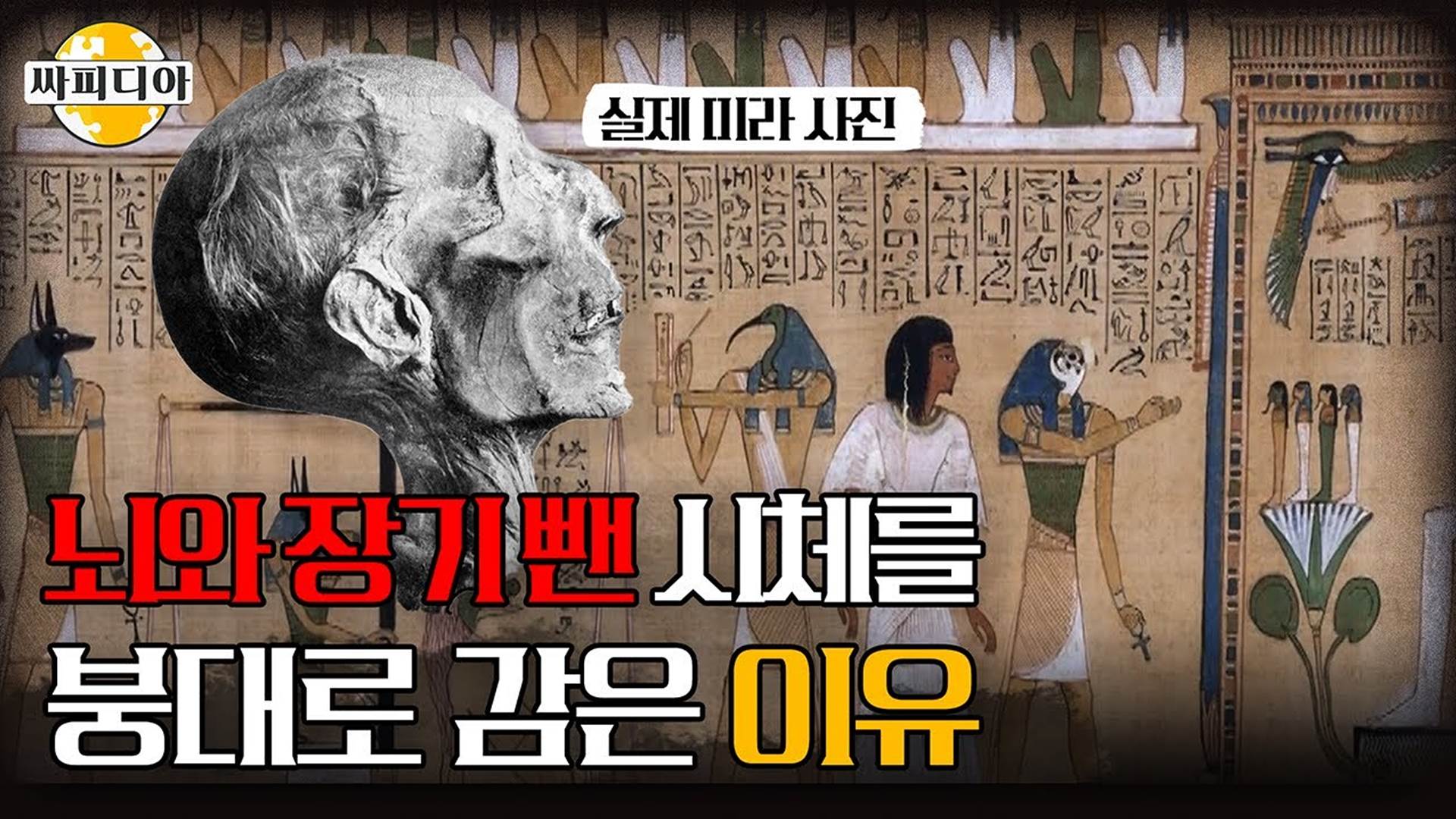 시체에서 뇌와 장기를 다 꺼내면 생기는 일