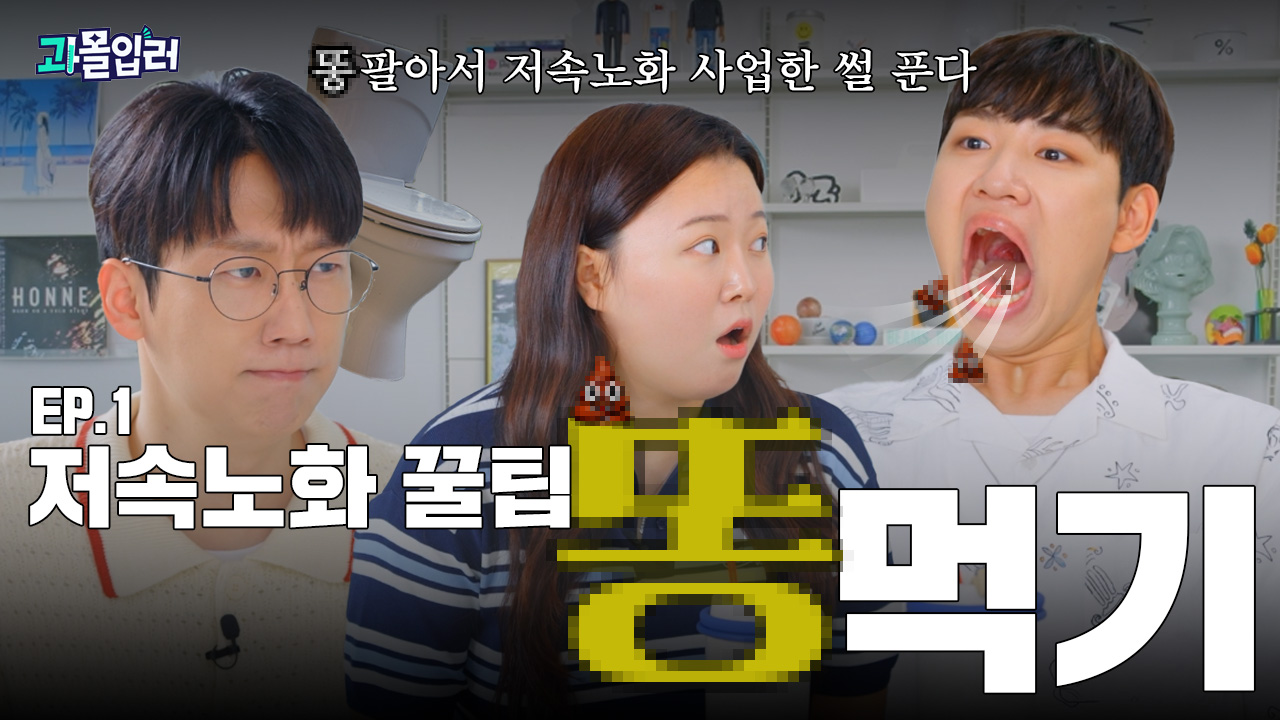 노화 편