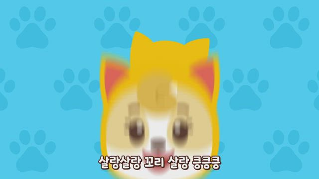 댕댕 강아지