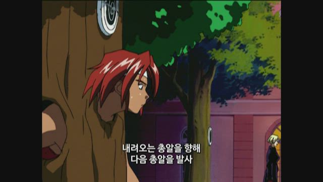 뉴욕에서 온 성난 자객
