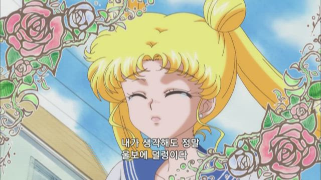 우사기 -SAILOR MOON-