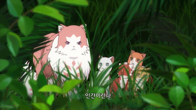 고양이와 용
