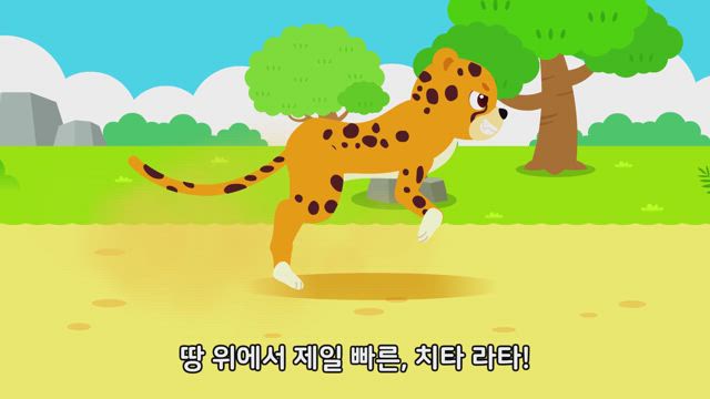달리기왕 치타