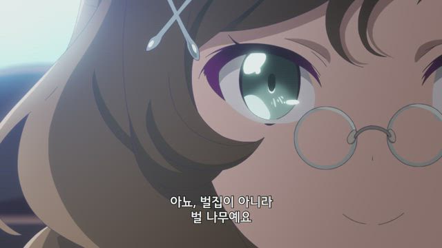 돌아온 곰 씨