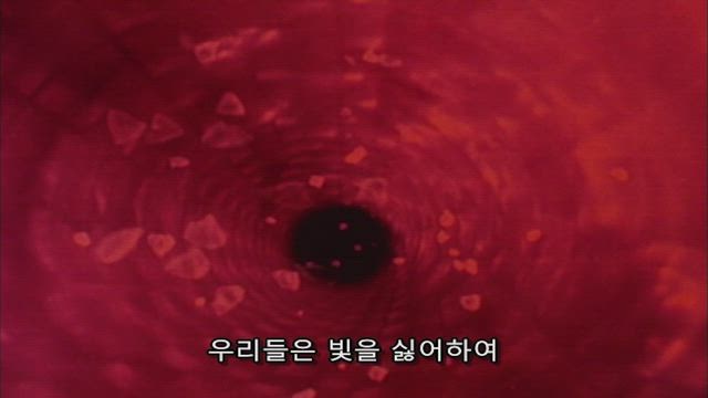 아름다운 수수께끼의 도망자