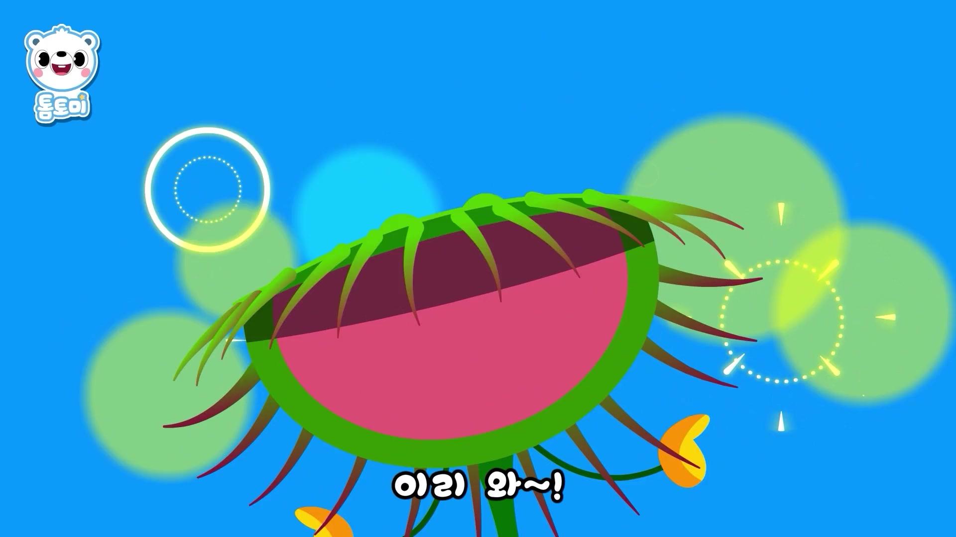 식충식물 송