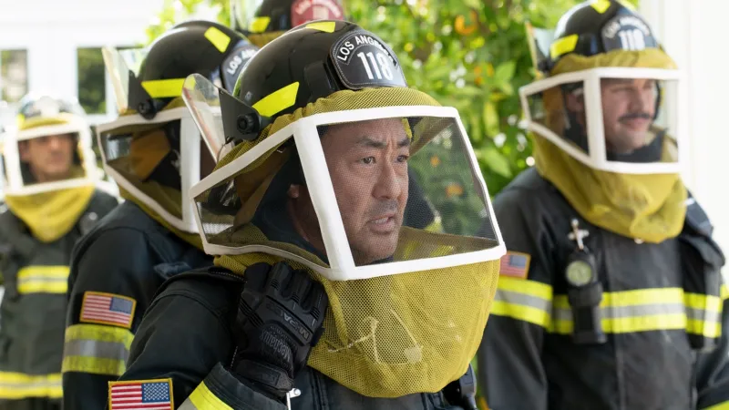 벌떼
