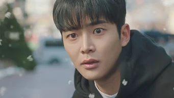 낙화1