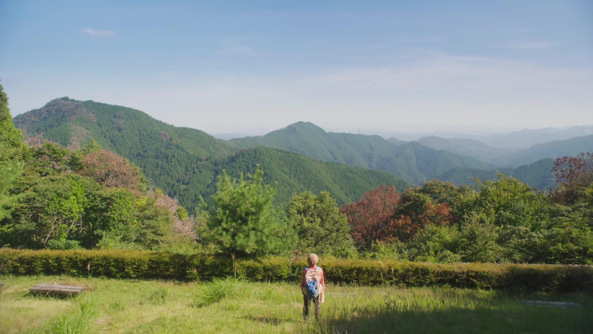미타케산 하라시마 식당