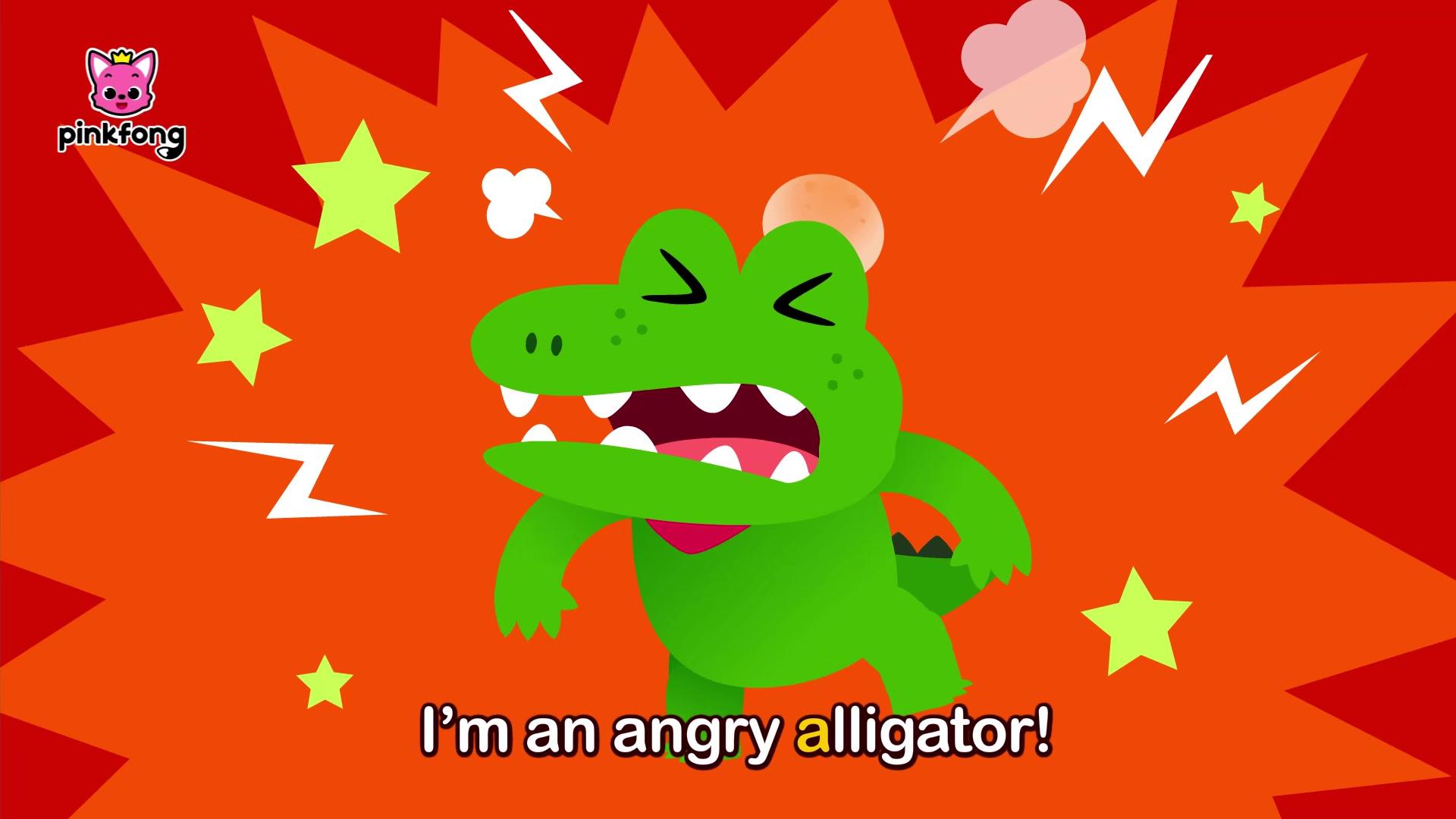 Alligator