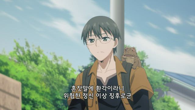 아마미야 유히와 도마뱀 기사