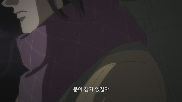 모든 것이 고양이가 된다